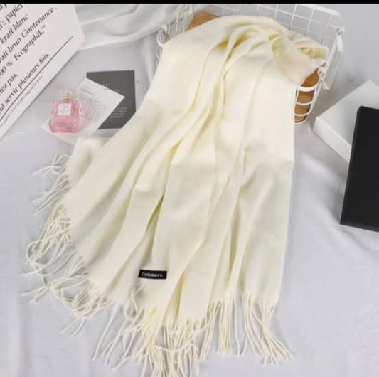 Women warm winter pashmina wool