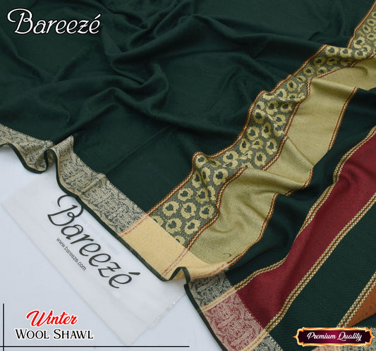 Ladies Shawl indian bnarsi