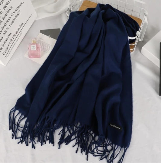 Women warm winter pashmina wool