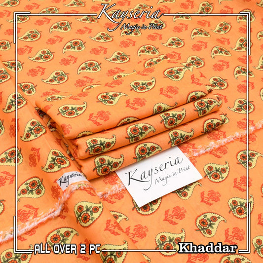 Khaddar 2 PC LADIES OUTFIT