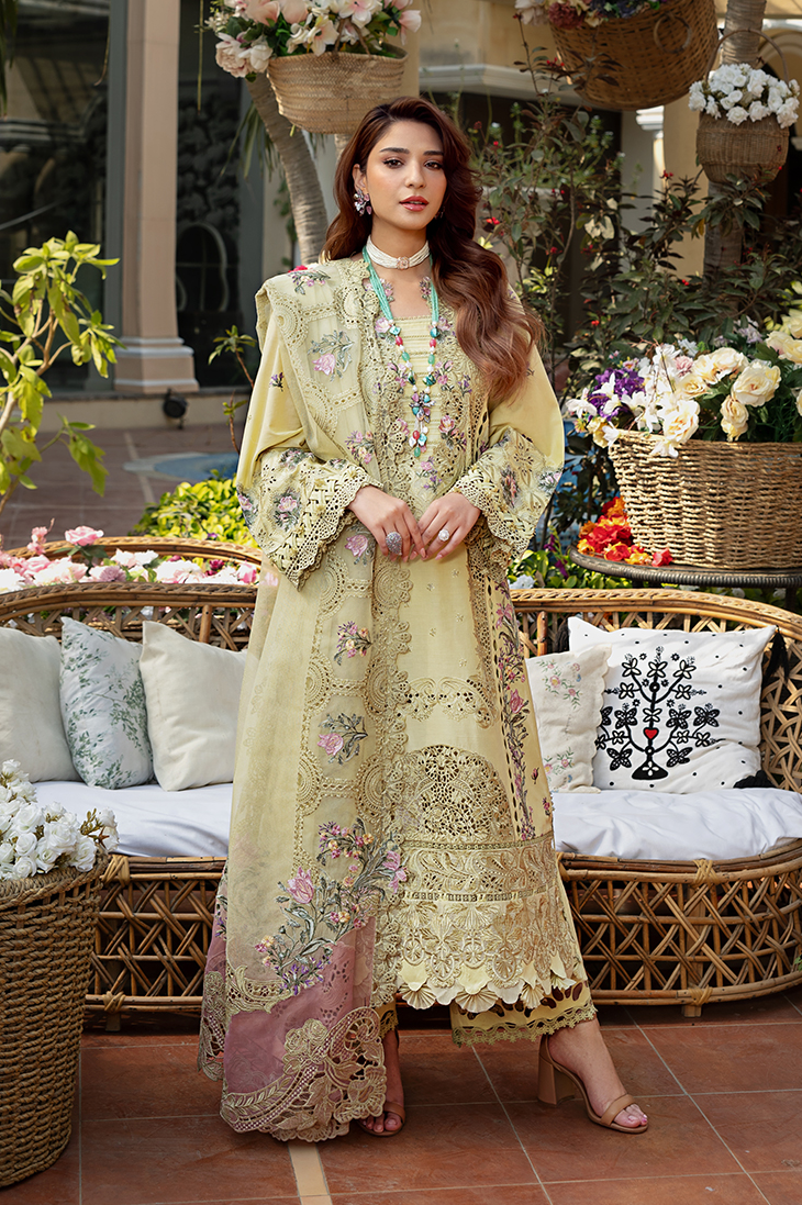 Premium 3-Piece Embroidered Dhanak Collection