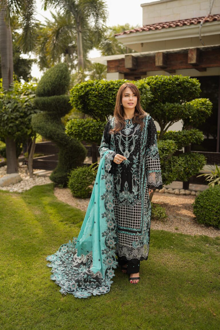 Premium 3-Piece Embroidered Dhanak Collection
