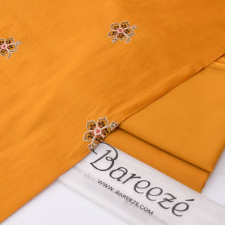 Bareeza embroidered 2 PC lawn